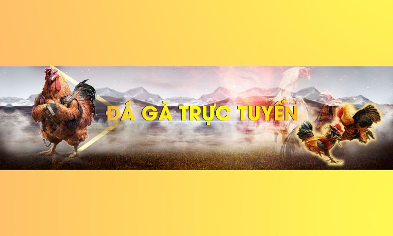  Game đá gà online(trực truyến) là gì?